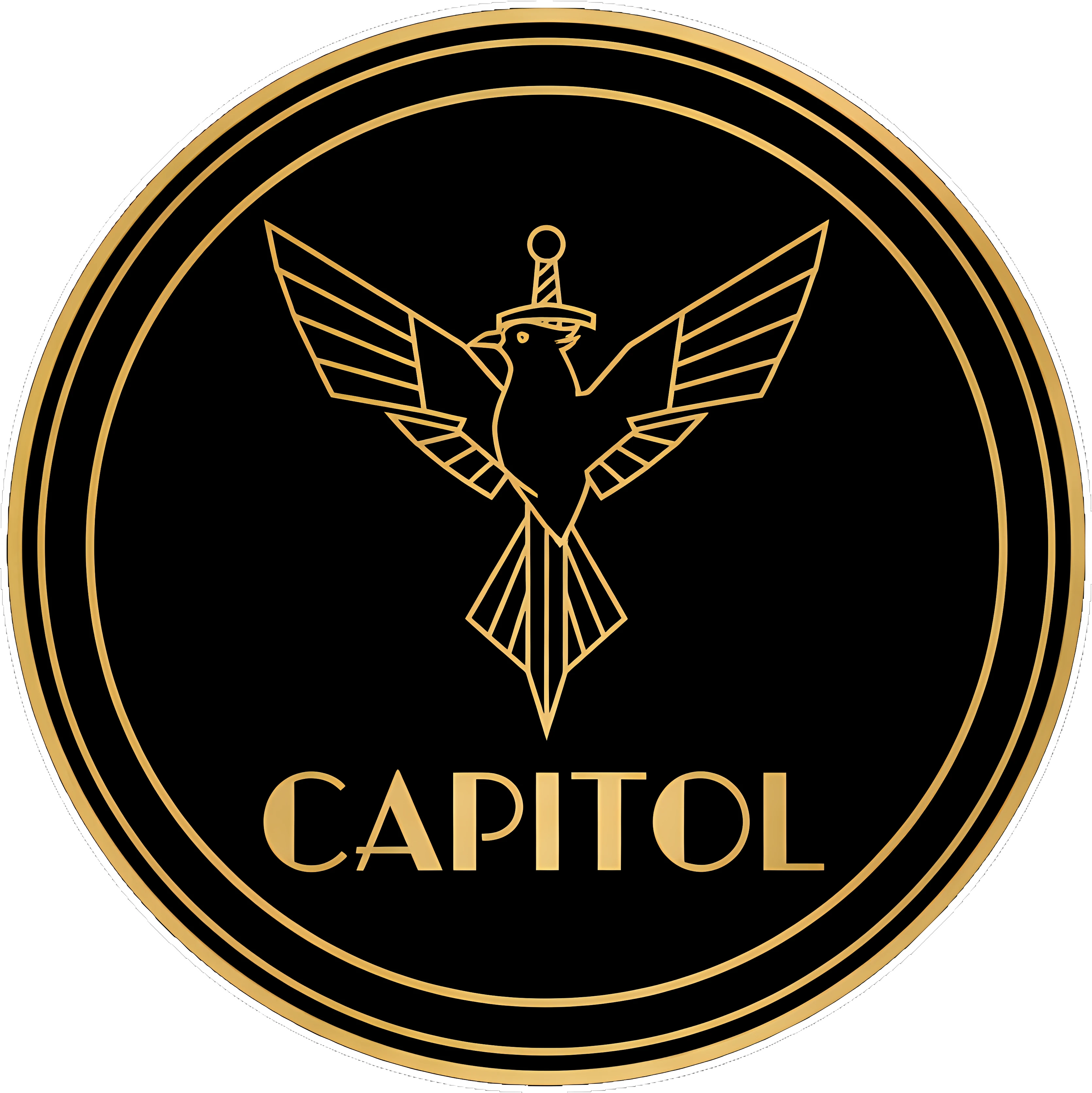 The Capitol - Hunger Games Authority - Imaginary Enterprises artwork by Cryolith
