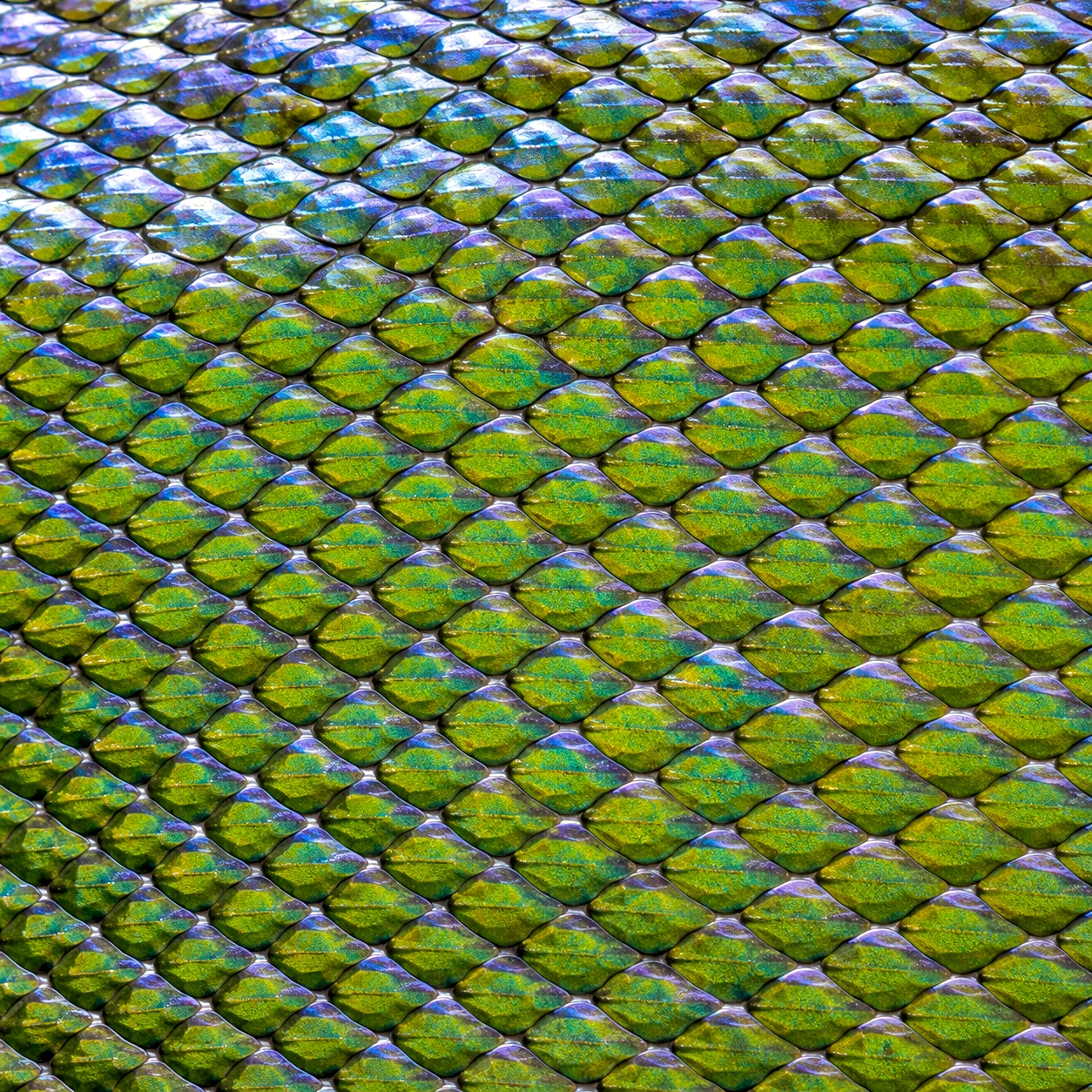 Emerald Chainmail - The Hidden Order artwork by Cryolith