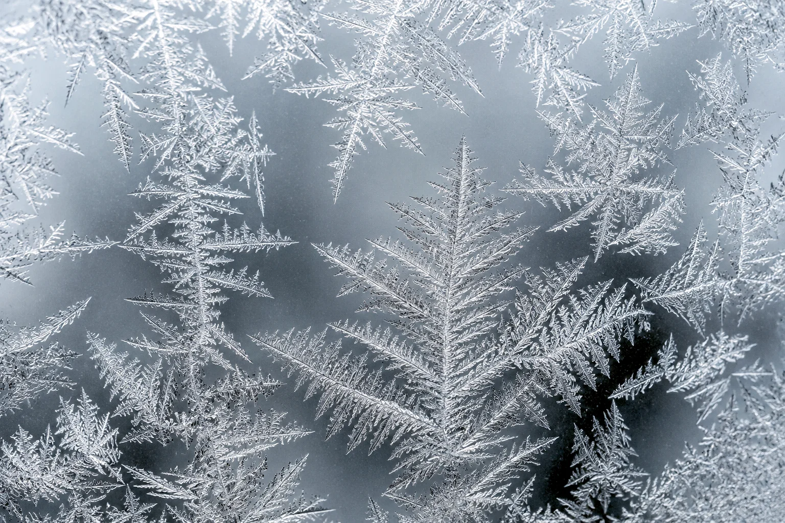 Winter’s Signature - The Hidden Order artwork by Cryolith